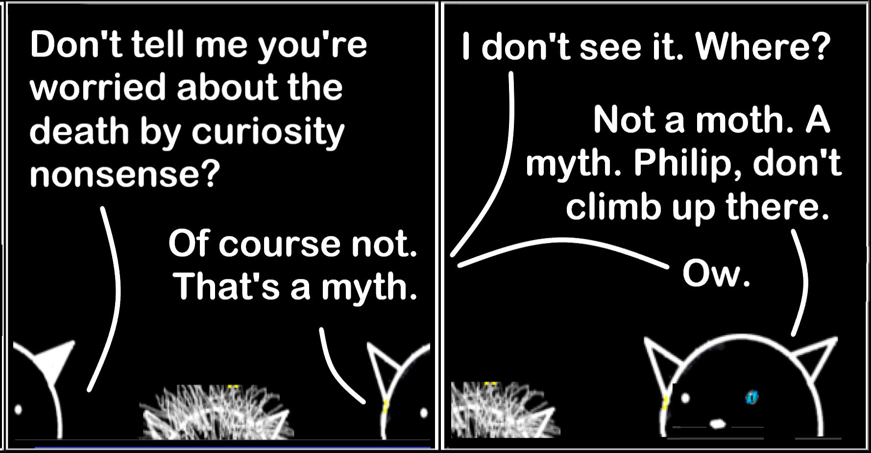 Comic sample. Two cats talking.

Don't tell me you're worried about the death by curiosity nonsense?
Of course not. That's a myth.

From outside of frame: I don't see it Where?

Not a moth. A myth. Philiop, don't climb up there.

From outside of frame;
Ow.